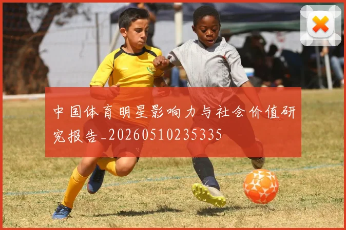 中国体育明星影响力与社会价值研究报告_20260510235335